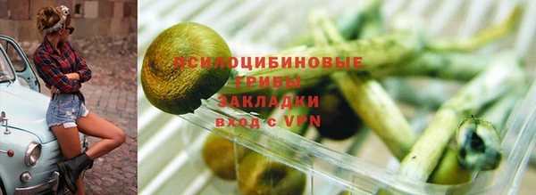 кокс Арсеньев