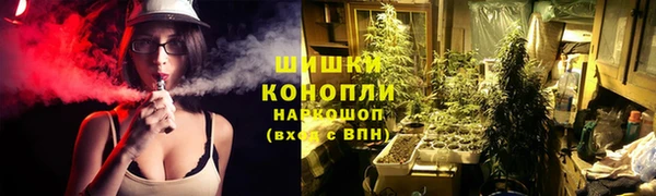 крисы Покачи