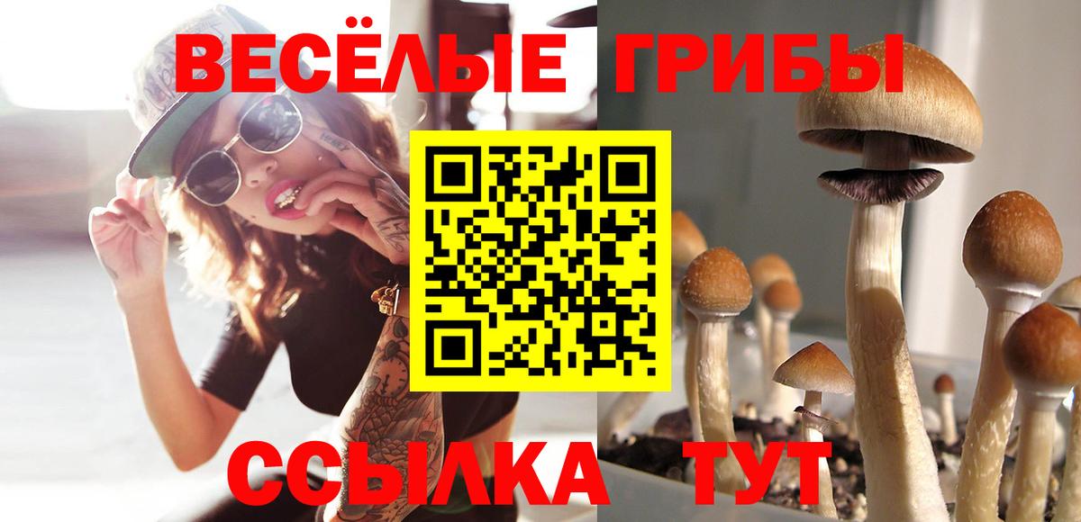 Галлюциногенные грибы прущие грибы  Вход с VPN  Псилоцибиновые грибы GOLDEN TEACHER  Строитель 
