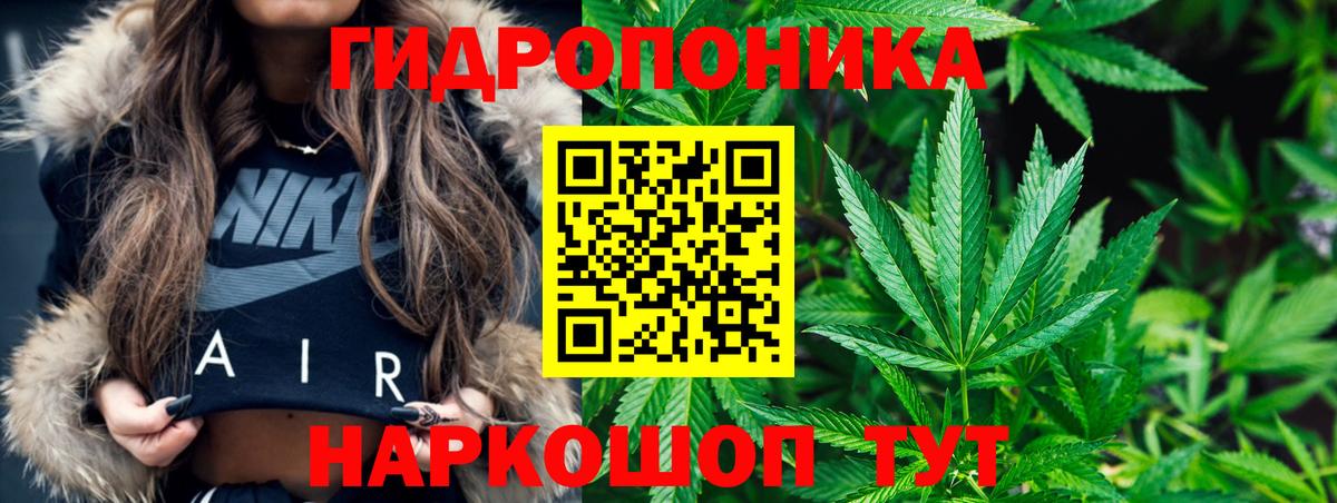 Шишки марихуана планчик  Бошки марихуана индика  Бошки Шишки конопля  Вход с VPN  Строитель 