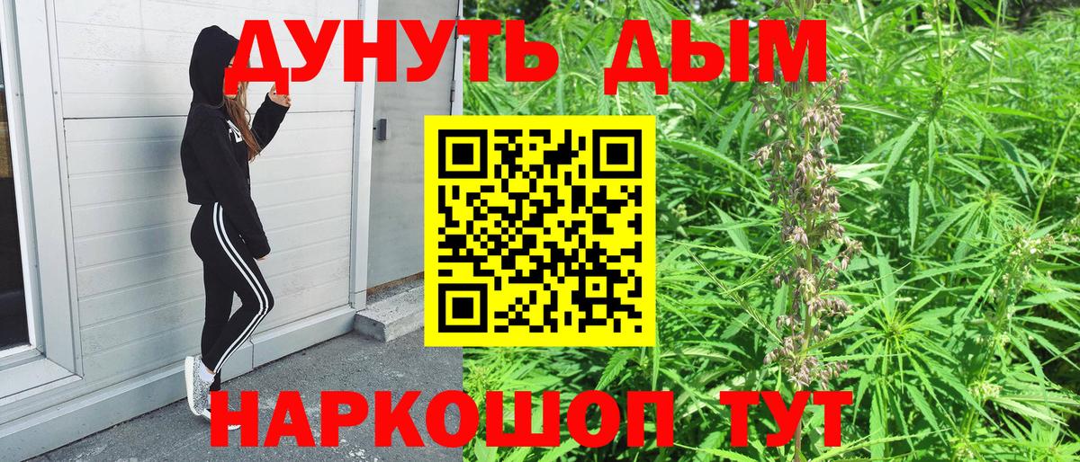 Шишки марихуана планчик Строитель